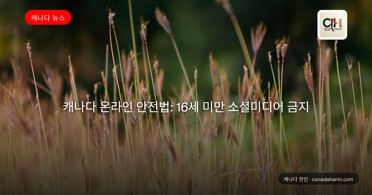 캐나다 온라인 안전법: 16세 미만 소셜미디어 금지