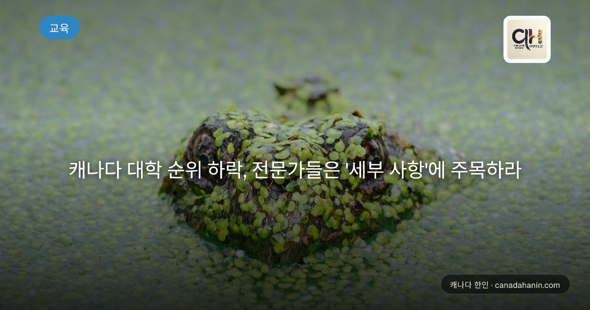 캐나다 대학 순위 하락, 전문가들은 '세부 사항'에 주목하라