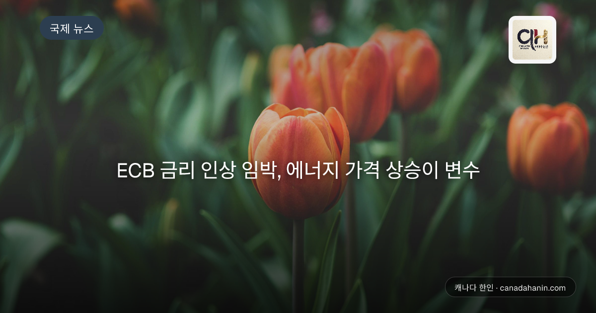 ECB 금리 인상 임박, 에너지 가격 상승이 변수