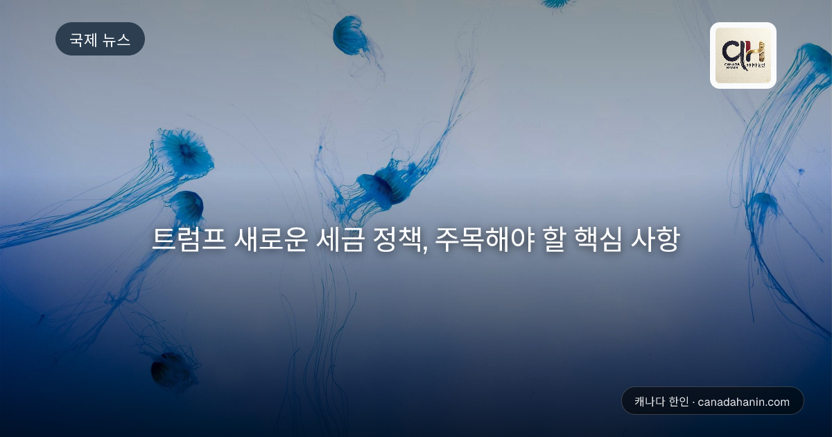 트럼프 새로운 세금 정책, 주목해야 할 핵심 사항